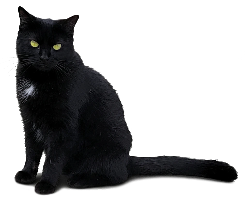 ñau-ñau